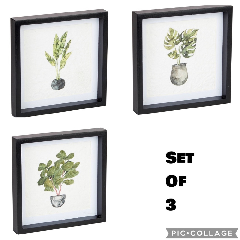 New TrueLiving Wall Decor Set of 3 Plant Lady Black Photo Frame, 5.98 in